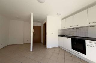 Wohnung mieten in 91054 Burgberg, Großzügige 1-Zi-Studenten-Wohnung mit Terrasse und neuer EBK