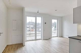 Penthouse mieten in Weißenburgstraße 56, 53175 Bad Godesberg, 2 Zimmer Penthouse mit großer Dachterrasse am Kottenforst