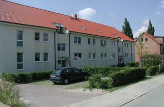 Wohnung mieten in Haselholzstr. 24, 19061 Haselholz, 2 Zimmer Wohnung in Schwerin