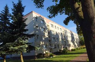 Wohnung mieten in Bahnhofstraße 4b, 14641 Paulinenaue, +++ Nette Nachmieter gesucht +++