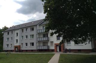 Wohnung mieten in Saarlandhof 42, 25335 Elmshorn, Mitten drin statt nur dabei: 1-Zimmer-Single-Wohnung
