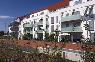 Wohnung mieten in Agilatrudstr. 15, 64347 Griesheim, SCHICKE MODERNE 2-ZIMMER WOHNUNG MIT BALKON