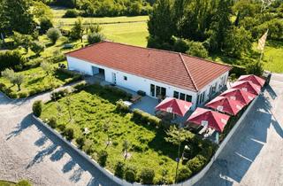 Gewerbeimmobilie kaufen in 55252 Mainz-Kastel, WEINGUT, WOHNHAUS, GASTRONOMIE & PRODUKTIONSHALLE Alles auf einem Anwesen in Mainz-Kostheim!