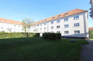 Wohnung mieten in Mittelstr. 19, 04600 Altenburg, Ein Zuhause das passt!