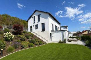 Einfamilienhaus kaufen in 93158 Teublitz, Modernes Wohnen auf höchstem Niveau – Neubau-Einfamilienhaus mit Einliegerwohnung und Naabblick