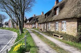 Haus kaufen in Westertilli 13, 25849 Pellworm, Kleines Haus am malerischen Westertilli