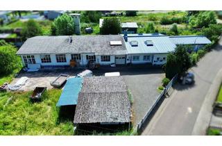 Haus kaufen in 76857 Eußerthal, Wohnen & Arbeiten vereint – großzügiges Wohn- und Geschäftsanwesen mit Gewerbehalle in Eußerthal