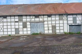 Bauernhaus kaufen in 09306 Seelitz, Ein überschaubarer Bauernhof möchte bewirtschaftet werden