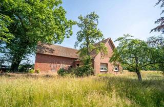 Haus kaufen in 31603 Diepenau, Landhof mit Scheune und Garten – 5.560 m² mit eigenem Ackerland
