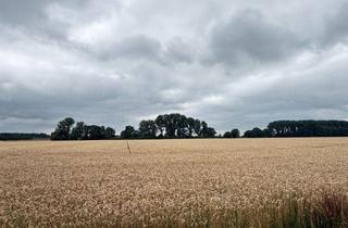 Gewerbeimmobilie kaufen in 47625 Kevelaer, Ackerland in Kevelaer-Wetten