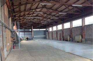 Gewerbeimmobilie mieten in Zollstockstraße, 72175 Dornhan, Effizient nutzbar: Gewerbehalle in Dornhan