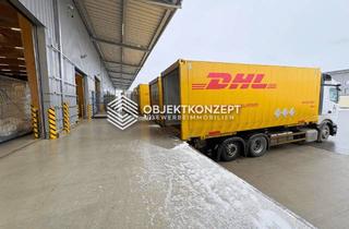 Büro zu mieten in 72525 Münsingen, Moderne Logistikhalle mit ca. 3.500 m², 8 Rolltoren, großzügigen Außenflächen und Büroeinheit