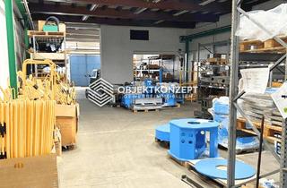 Gewerbeimmobilie mieten in 78727 Oberndorf, Vielseitig nutzbare Hallen- und Lagerfläche im gepflegten Gewerbepark - teilbar ab 253 m²