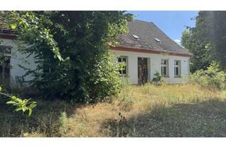 Grundstück zu kaufen in 14797 Kloster Lehnin, 3.147m² Ruhige, großzügige Lage im idyllischen Michelsdorf (Kloster Lehnin)