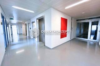 Büro zu mieten in 78467 Konstanz, Verfügbare Büro-, Labor- und Lagerflächen ab ca. 250 m² in hochwertigem Gebäude