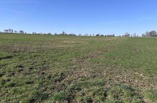 Gewerbeimmobilie kaufen in 31655 Stadthagen, Ackerland am Stadtrand von Stadthagen