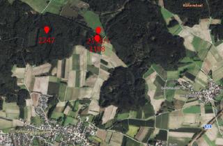 Gewerbeimmobilie kaufen in Fortsmoos, 84089 Aiglsbach, Waldfläche bei Aiglsbach / Fortsmoos