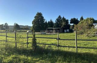 Wohnung kaufen in 65345 Eltville, Schöne und helle 3 ZKB EG mit Terrasse und Gartenanteil in Rauenthal