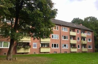 Wohnung mieten in Robert-Schuman-Weg 10 B, 21509 Glinde, Frisch saniert in grüner Lage - Ihre neue Wohnung?