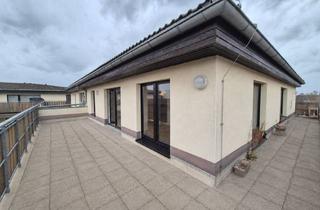 Penthouse mieten in 06847 Alten, Penthouse mit XXL-Dachterrasse!!!