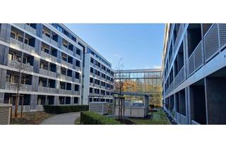 Wohnung mieten in Anni-Eisler-Lehmann-Straße, 55122 Neustadt, Luxuriöse Studentenwohnung im Privatstudentenwohnheim Campo Novo mit Süd-West-Balkon