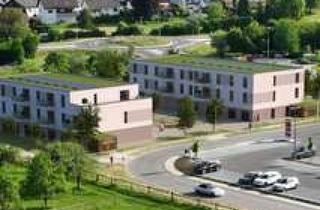 Wohnung mieten in Hölderlinstraße, 74855 Haßmersheim, 3-Zimmer-Wohnung Neubau KfW 40 QNG