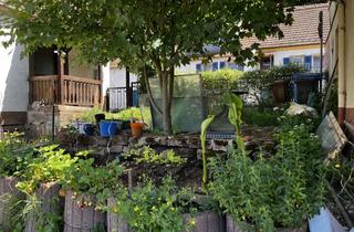 Haus kaufen in Pirmasenser Straße 33, 66994 Dahn, Kleines Häuschen mit großem Garten