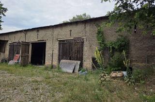 Gewerbeimmobilie kaufen in 16356 Werneuchen, Scheune und Nebengebäude auf ca. 1.000 m2