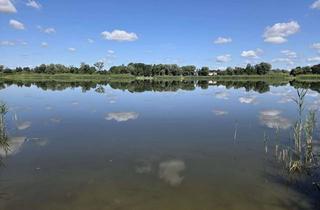 Gewerbeimmobilie kaufen in 16356 Werneuchen, Scheune am See ( sanierungsbedürftig / ca 460 m² )