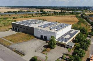 Anlageobjekt in 04509 Delitzsch, Temperaturstabile Lager-/Produktionshallen in Delitzsch