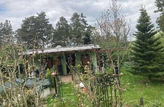 Grundstück zu kaufen in 01936 Schwepnitz, Gartengrundstück in Schwepnitz-Zeisholz
