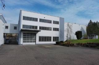 Büro zu mieten in 63571 Gelnhausen, MIETE: Lager + Fertigung + Büro - inkl. Regale 9,75 m hoch - top ausgestattet - zentral an der A66