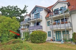 Wohnung kaufen in 04821 Brandis, Brandis: frei werdend | 2 Zimmer | 2 Terrassen im Grünen | TG-Stellplatz