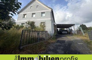 Einfamilienhaus kaufen in 95197 Schauenstein, Schauenstein: Modernisierte Doppelhaushälfte im Grünen