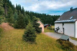 Einfamilienhaus kaufen in 08262 Muldenhammer, Muldenhammer - Freistehendes EFH mit viel Grün und herrlicher Natur