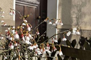 Wohnung kaufen in 45888 Bulmke-Hüllen, Vermietete Eigentumswohnung mit Balkon – solide Kapitalanlage in Gelsenkirchen