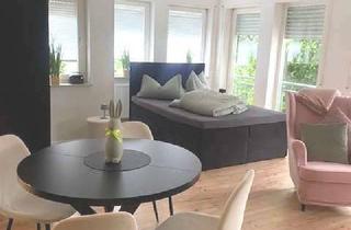Wohnung mieten in 76669 Bad Schönborn, Langenbrücken Attraktive komplett möblierte 1,5 Zimmer Wohnung mit großem Balkon