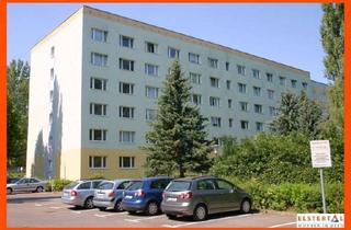 Wohnung mieten in Eiselstraße 113/117, 07548 Debschwitz, Komplett renovierte 2-Raumwohnung am Stadtwald!