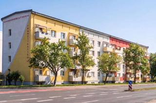 Wohnung mieten in Franzstraße 142, 06842 Innenstadt, Charmante Wohnung mit Balkon