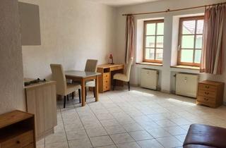 Wohnung mieten in Am Turm 11, 93164 Laaber, Helle Teilmöblierte 1-Zimmer-Wohnung mit Du/WC und Kochzeile (Ap. 3)