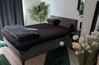 Wohnung mieten in 81547 Untergiesing-Harlaching, 1 Zimmer Appartement