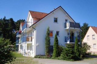 Wohnung mieten in 01936 Königsbrück, Moderne Singlewohnung oder Pendlerapartment mit Balkon