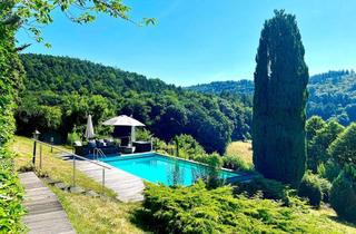 Haus kaufen in 69259 Wilhelmsfeld, Traumhaus mit Pool und Fernblick in naturnaher Lage