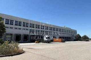Gewerbeimmobilie mieten in 14656 Brieselang, Brieselang - Logistikhalle, ca. 30.000 m² - ab sofort verfügbar!