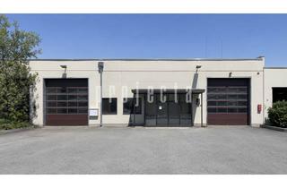 Gewerbeimmobilie mieten in 65439 Flörsheim, ++Lager-/Servicefläche provisionsfrei zu vermieten++