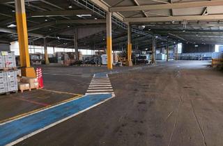 Gewerbeimmobilie kaufen in 67317 Altleiningen, Liegenschaft mit 18.000 m² Hallenflächen für verschiedene Nutzungsarten zu verkaufen