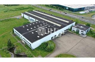 Gewerbeimmobilie mieten in 39340 Haldensleben, Moderne Hallen für Produktion & Lager I Erweiterungspotential I prov-frei mieten