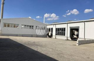 Gewerbeimmobilie mieten in 38820 Halberstadt, Funktionale Hallenteilen I 300 - 11.500 m² I Rampen I EMA