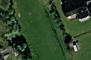 Grundstück zu kaufen in Niederweg 40, 25870 Oldenswort, Courtagefrei 2500 qm Traumgrundstück in ruhigerOrtsrandlage