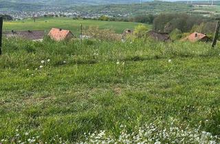 Grundstück zu kaufen in Drasenberg 15, 36381 Schlüchtern, Schönes Baugrundstück in traumhafter Lage